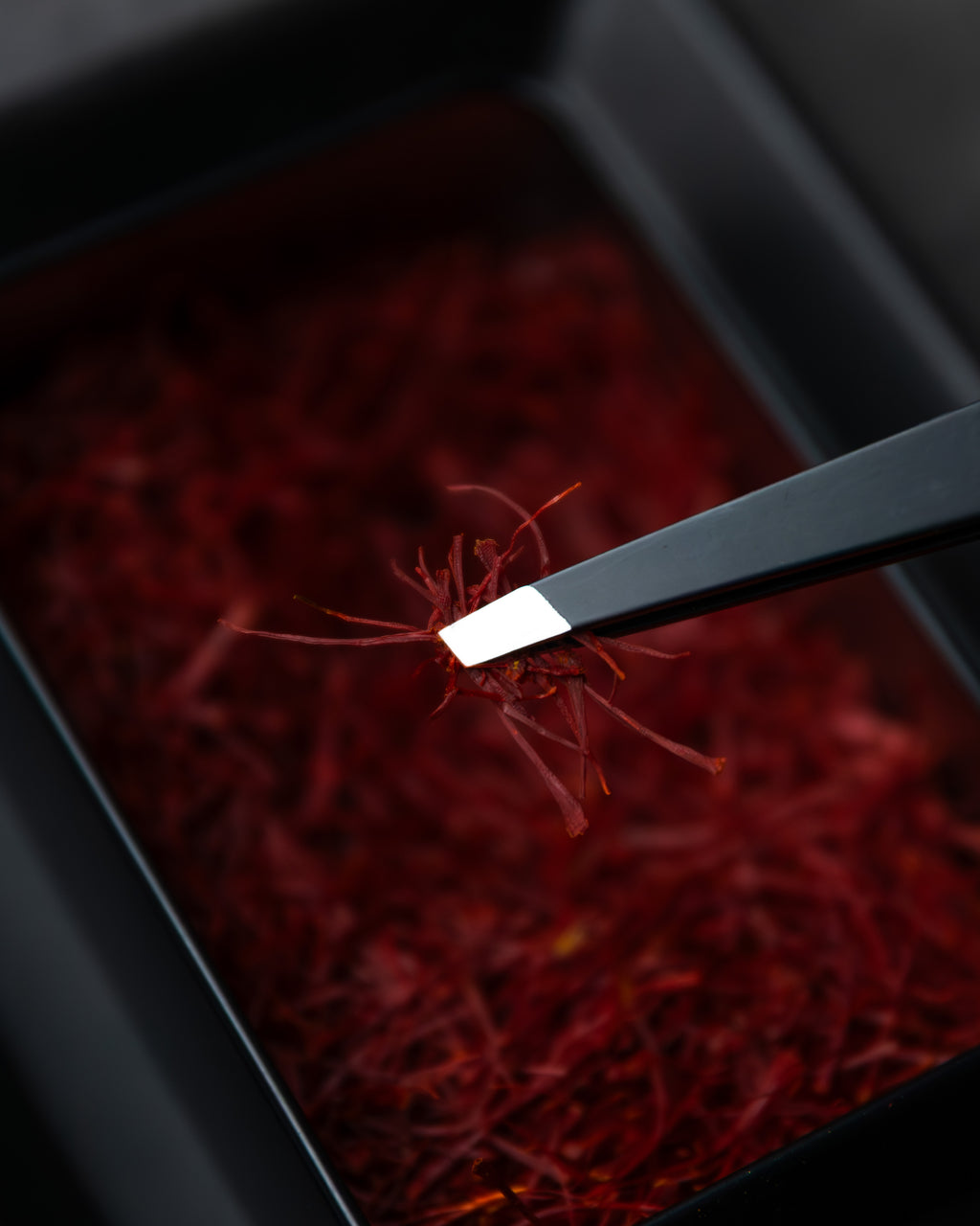 8 Grams of Saffron Gift Set